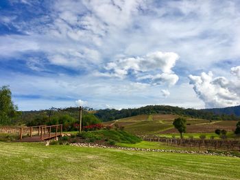 Scenic view of field against sky