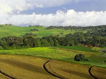 Scenic view of agricultural field against sky