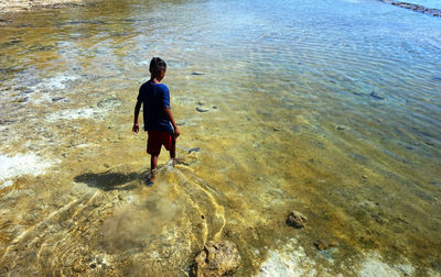 Rear view full length of boy on shore at beach