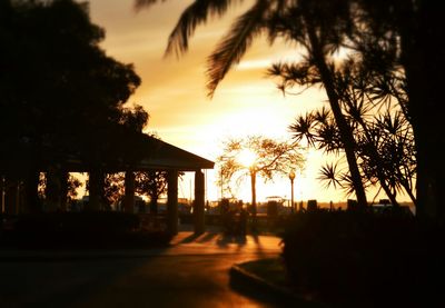 Silhouette of trees at sunset