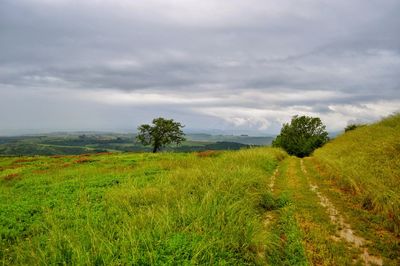 Scenic view of land against sky