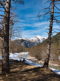 wilderness