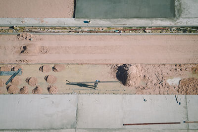 High angle view of pigeon perching on wall