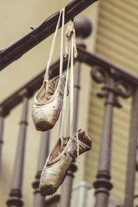 Close-up of dry leaf hanging on plant