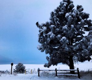 Trees on snow covered field against clear sky