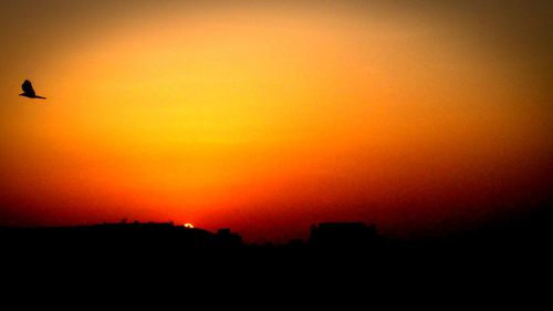 Silhouette birds against sky during sunset