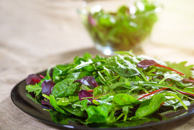 A mixed green salad with arugula and romaine on the table