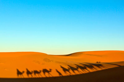 Scenic view of desert against clear blue sky