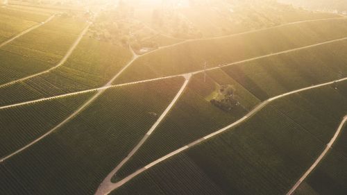 High angle view of field