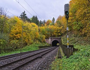 Railroad tracks amidst trees during autumn
