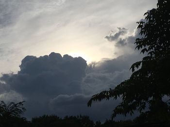 Low angle view of silhouette trees against sky