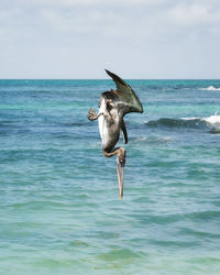 View of bird on the sea against sky