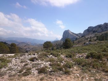 Scenic view of landscape against sky