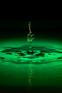 Close-up of drop falling on water