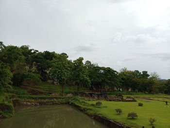 Scenic view of trees on field against sky