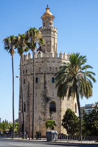 Palm trees by building against sky