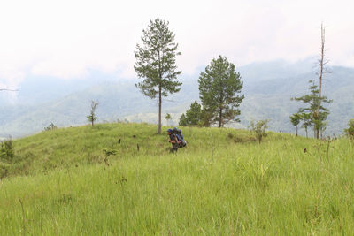 Man riding motorcycle on field against sky