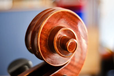 Detail of a cello snail