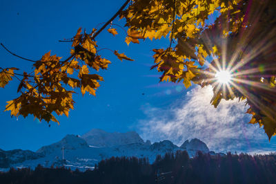 Scenic view of tree against sky during autumn