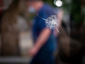 Close-up of spider web on window