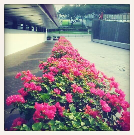 Temasek Polytechnic Singapore