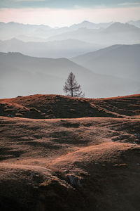 Scenic view of landscape and mountains against sky