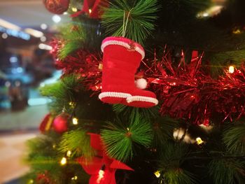 Close-up of christmas tree at night