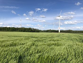 Windmills on field against sky