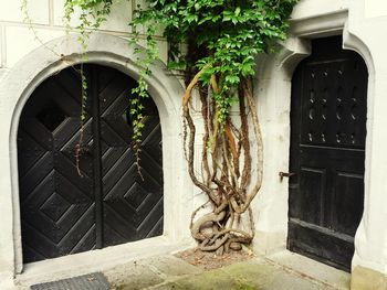 Medieval doors of castle