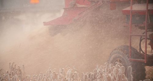 Low section of man working on field