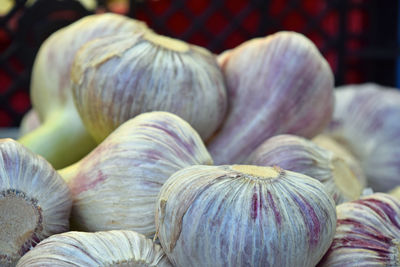 Close-up of garlic for sale at market stall