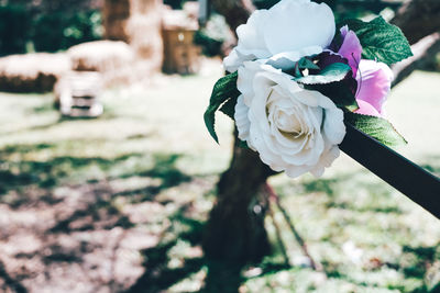 Close-up of rose plant on field