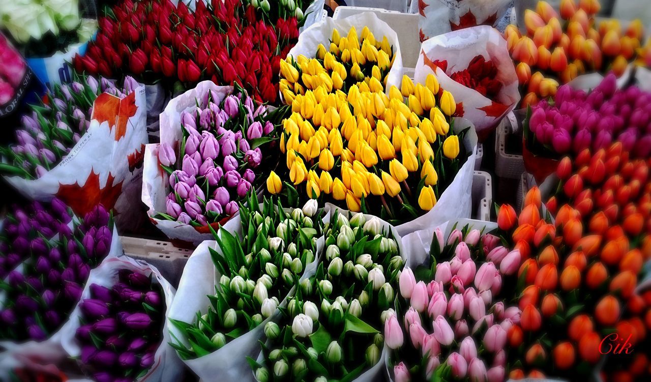 VARIETY OF FRUITS FOR SALE