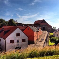 Houses in the field