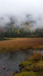 Scenic view of lake against sky during foggy weather