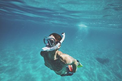 Jellyfish swimming in sea