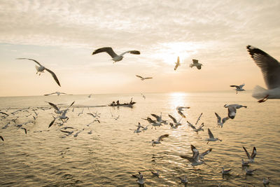 Silhouette birds flying over sea against sky during sunset