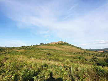 Scenic view of field against sky