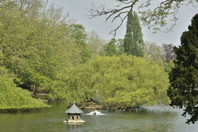 Scenic view of lake in forest