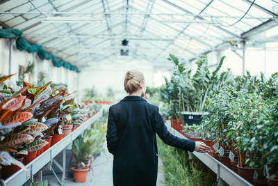 Man standing in greenhouse
