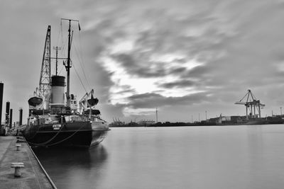 Sailboats moored at harbor against sky