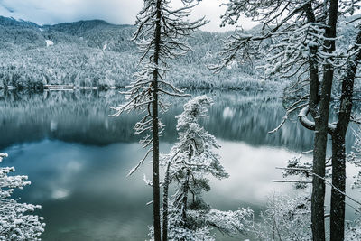 Scenic view of lake and snowcapped mountains during winter