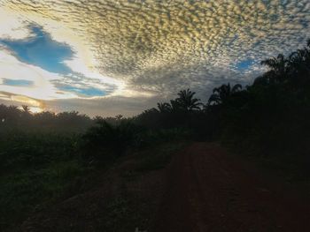 Dirt road amidst trees against sky during sunset