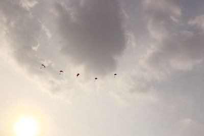 Low angle view of bird flying in sky