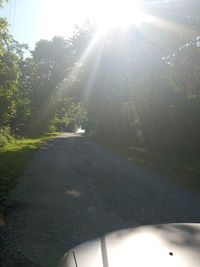sunlight