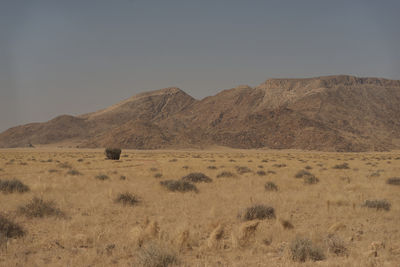 Scenic view of desert against clear sky