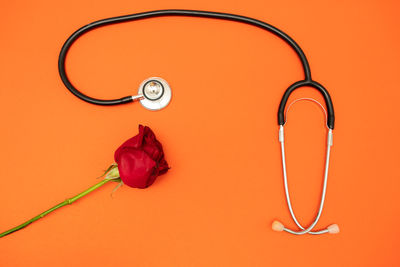 Close-up of red rose against orange background