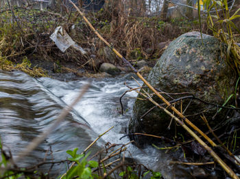 Stream flowing through rocks in forest