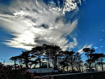 Silhouette trees against sky