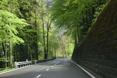 Empty road along trees in forest